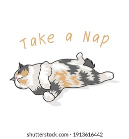 Cat Character take a nap on illustration graphic vector