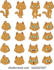 Cat Character Turnaround Illustration For Rig