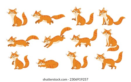 Cat characters set. Collection of stickers for social network. Orange playful kitten in different poses. Fluffy domestic animals or pets. Cartoon flat vector illustrations isolated on white background