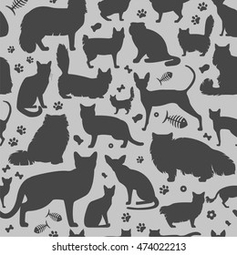 Cat characters and vet care seamless pattern flat style. Vector illustration
