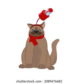 Cat in christmas holiday hat and scarf. Merry Christmas and Happy New Year greeting card.