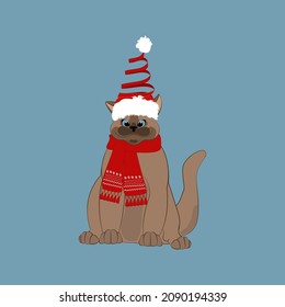 Cat in christmas holiday hat and scarf. Merry Christmas and Happy New Year greeting card.