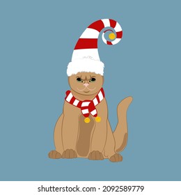 Cat in christmas holiday hat and scarf. Merry Christmas and Happy New Year greeting card.