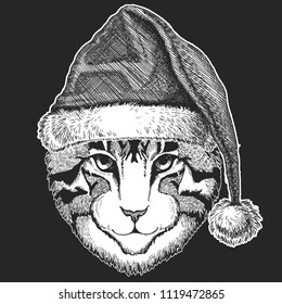 Cat Christmas, new year celebration. Santa Claus winter hat. Xmas headdress.