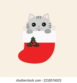 The Cat in Christmas sock 