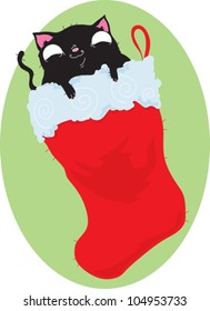Cat in Christmas Stocking