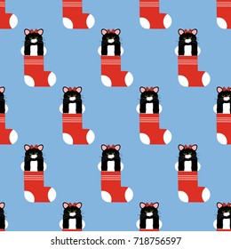 Cat in christmas stocking pattern on the blue background. Vector illustration