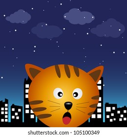 Cat in the city at night