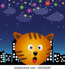 Cat in the city at night