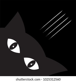 Cat and claw in dark