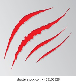 Cat claw scratches marks set on white background.