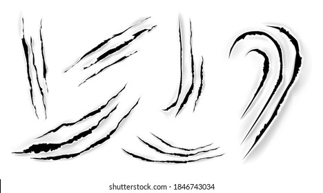 Cat Claw Scratches On Paper. Black Torn Slashes From Wild Animal, Tiger, Bear Or Lion Paws Isolated On White Background. Vector Realistic Sharp Talons Marks, Trails And Scrapes From Monster Nails