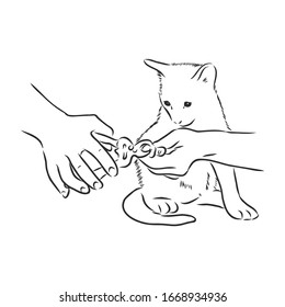 cat claw trimming, vector sketch illustration 