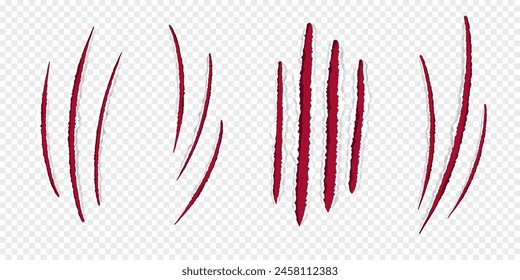 Garras de gato arañazos rojos, borde de papel rasgado aislado sobre fondo transparente realista. Orificios con textura de superficie dañados. 