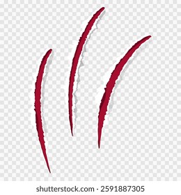 Cat claws red scratches, torn paper edge isolated on transparent background realistic. Damaged surface textured holes. . Vector illustration