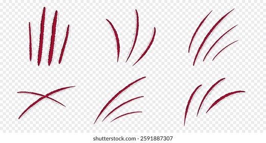Cat claws red scratches, torn paper edge isolated on transparent background realistic. Damaged surface textured holes. . Vector illustration