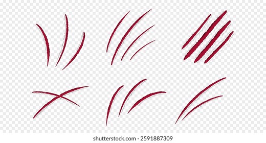 Cat claws red scratches, torn paper edge isolated on transparent background realistic. Damaged surface textured holes. . Vector illustration