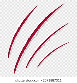 Cat claws red scratches, torn paper edge isolated on transparent background realistic. Damaged surface textured holes. . Vector illustration