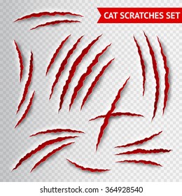 Cat claws scratches on transparent background realistic vector illustration