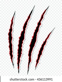  Cat claws scratches on transparent background
