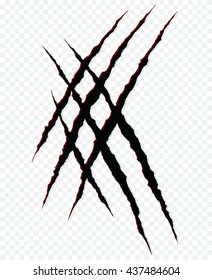 Cat claws scratches . vector illustration
