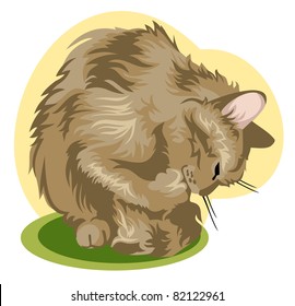 cat cleaning itself