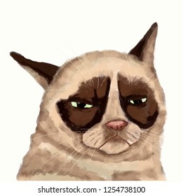 cat close up vector