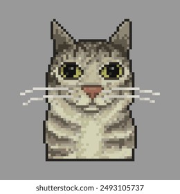 Cat in closeup, pixel art meme