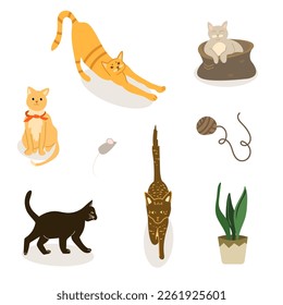 Cat collection, adorable cats bundle with ginger cat, black cat and grey cat, cute stickers, kawaii veterinarian illustration. Isolated on white background. Flat cartoon vector illustration.