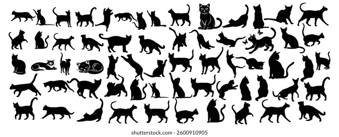 Cat collection vector silhouette  design 