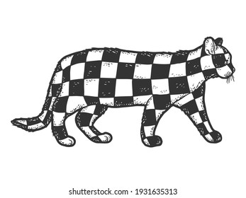 Cat color checkerboard. Sketch scratch board imitation. Black and white.