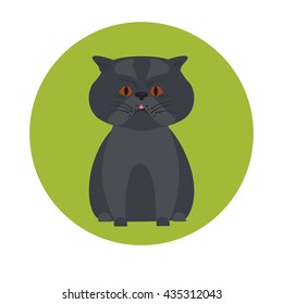 Cat color flat icon