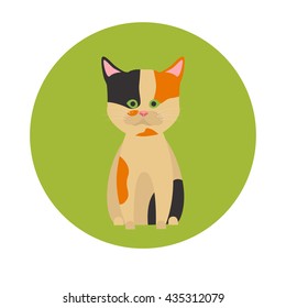 Cat color flat icon