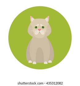 Cat color flat icon