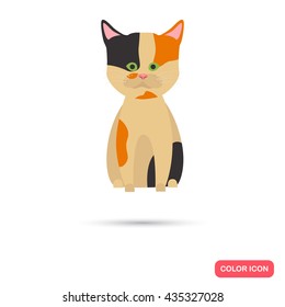 Cat color flat icon