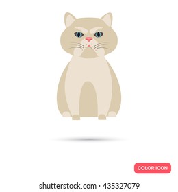 Cat color flat icon