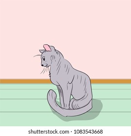 cat color, vector, in the room