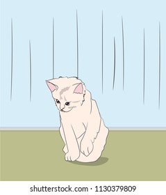 cat color, vector, in the room
