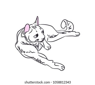cat color, vector, white background