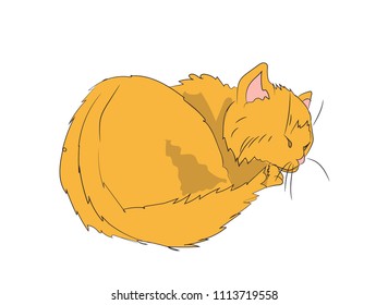 cat color, vector, white background