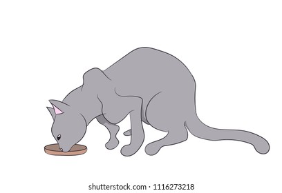 cat color, vector, white background