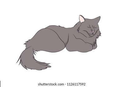 cat color, vector, white background