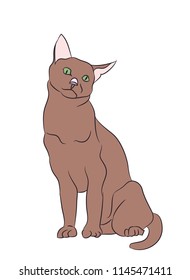 cat color, vector, white background