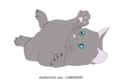 cat color vector, white background, cat color, vector, white background