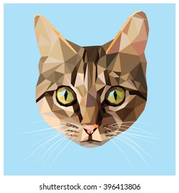 Cat colorful low poly design isolated on blue background with a white outline. Animal portrait card.