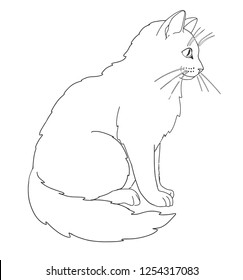 Cat for coloring book page.