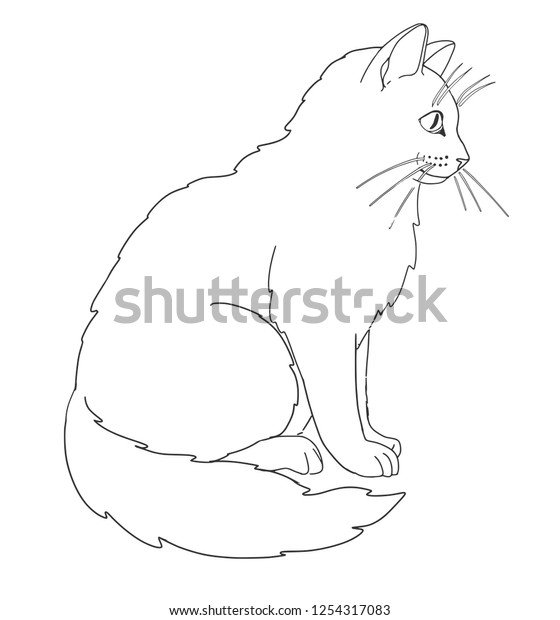 Cat Coloring Book Page Stock Vector (Royalty Free) 1254317083 ...