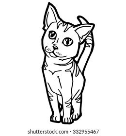 Cat Coloring Page