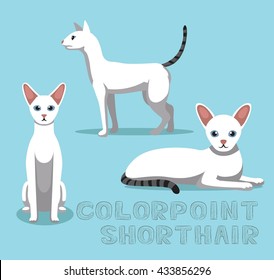 Cat Colorpoint Shorthair Cartoon Vector Illustration