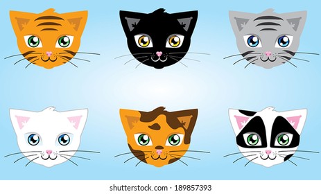 Cat Colors